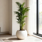 Decorative Flower Pots for Gardening Are Commonly Utilized in Home Decor for Living Rooms, Offices, Landscaping Projects, And Various Other Settings. They Are Ideal for Occasions Like Mother'S Day And Thanksgiving (Without Flowers)