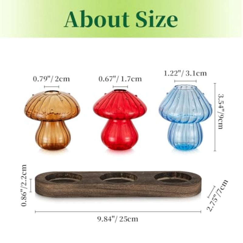 omcri4PCS Unique Small Vases for Flowers and 3PCS Glass Propagation Station